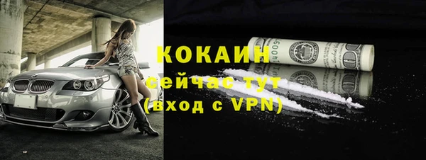 гидра Арсеньев