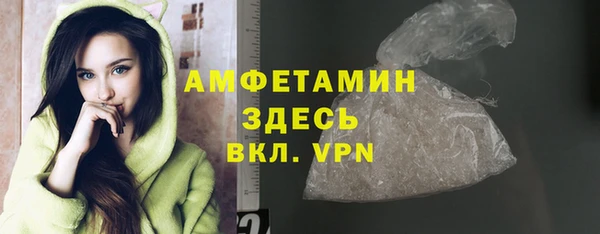 гидра Арсеньев