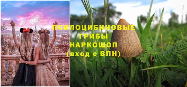 метадон Горнозаводск