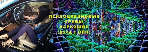 гидра Арсеньев