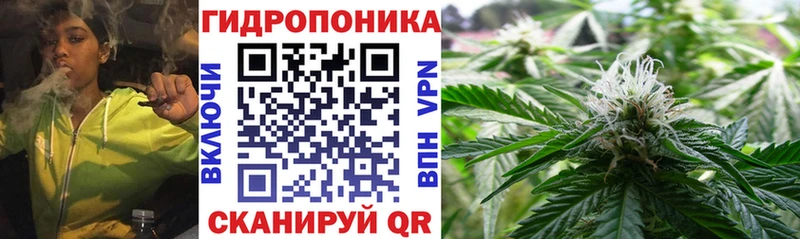 Канабис Amnesia Москва